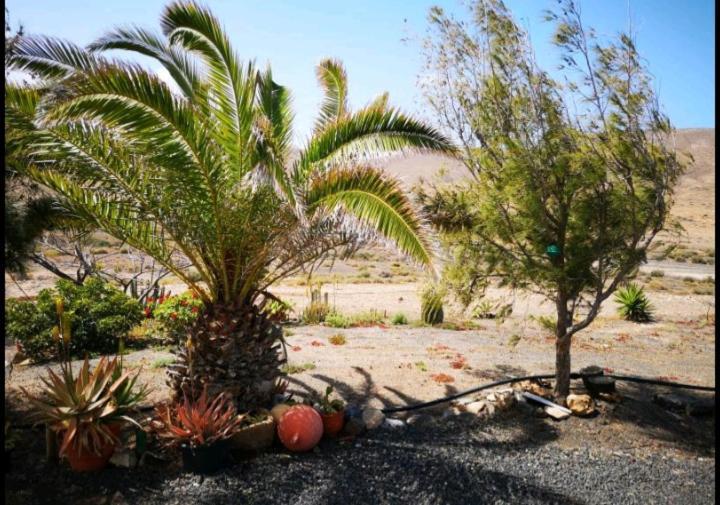 Casa La Solapa Villa Pajara  Bagian luar foto